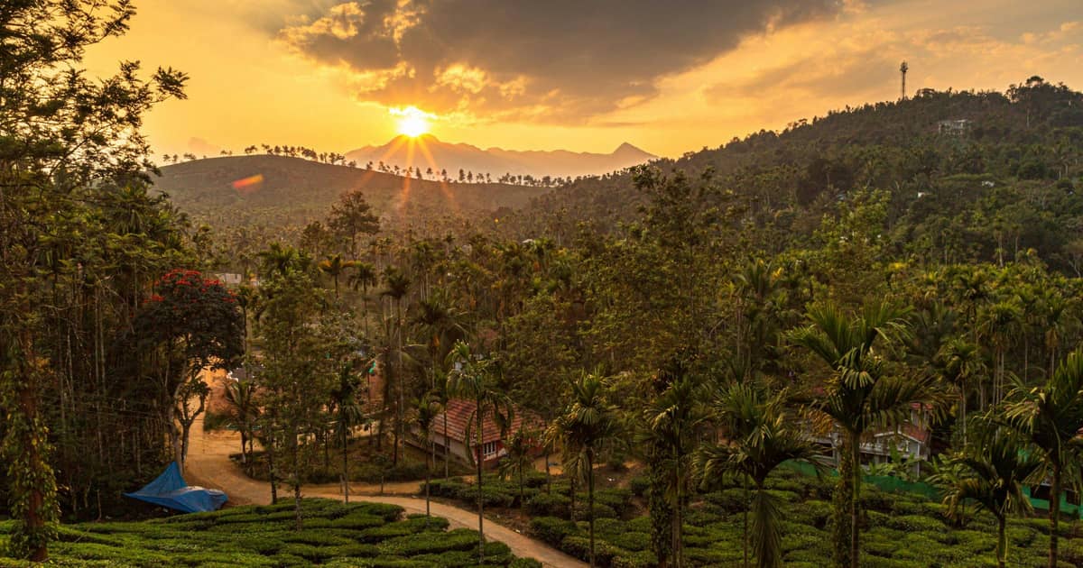 Monsoon Treks in Wayanad (RainâKissed Trails)