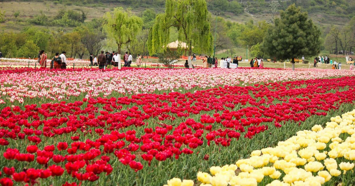 Spring (March to May)