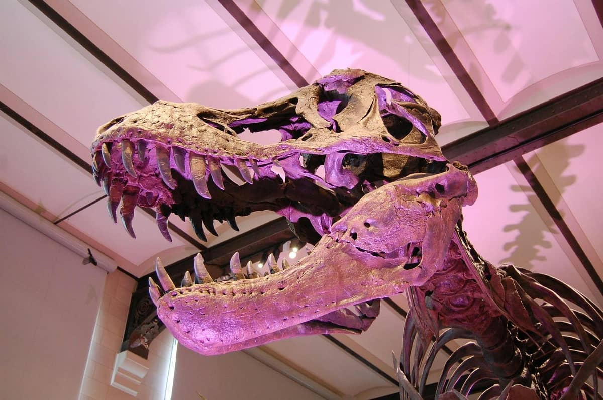 National Museum or ArtScience Museum – Afternoon Culture Fix