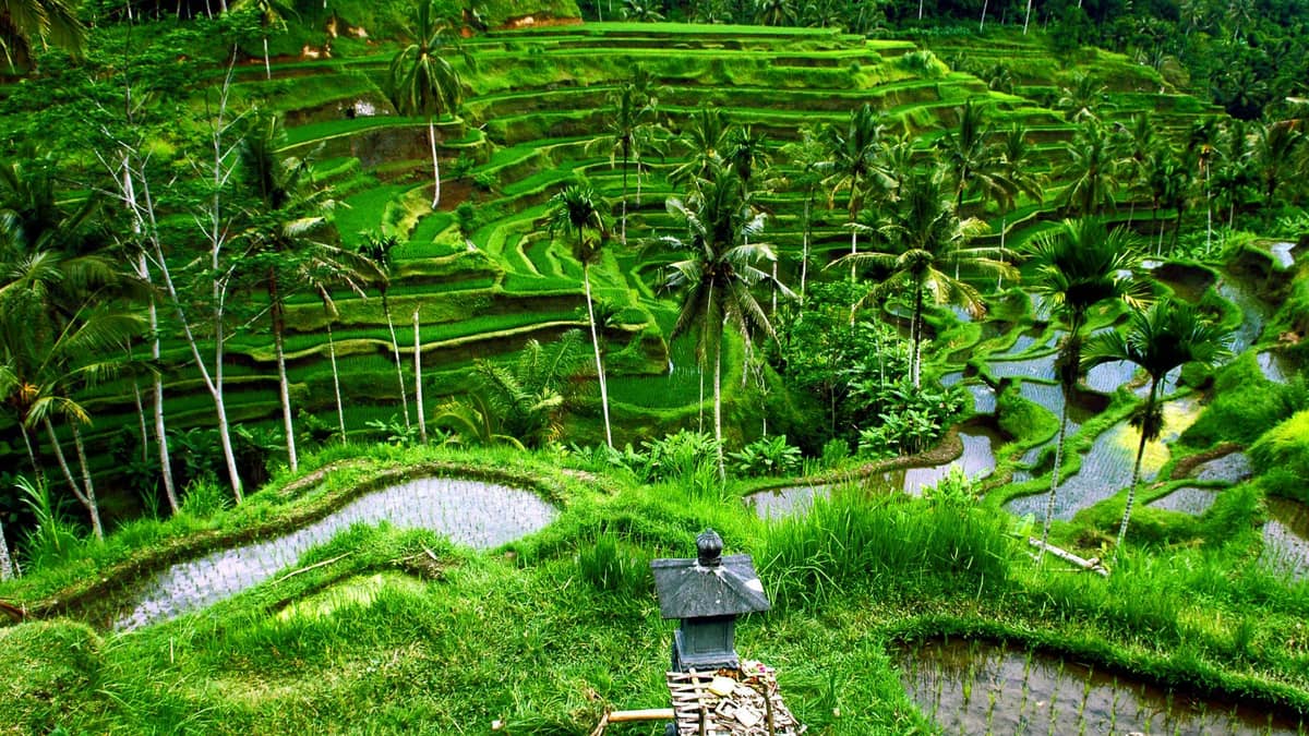Best Photography Spots