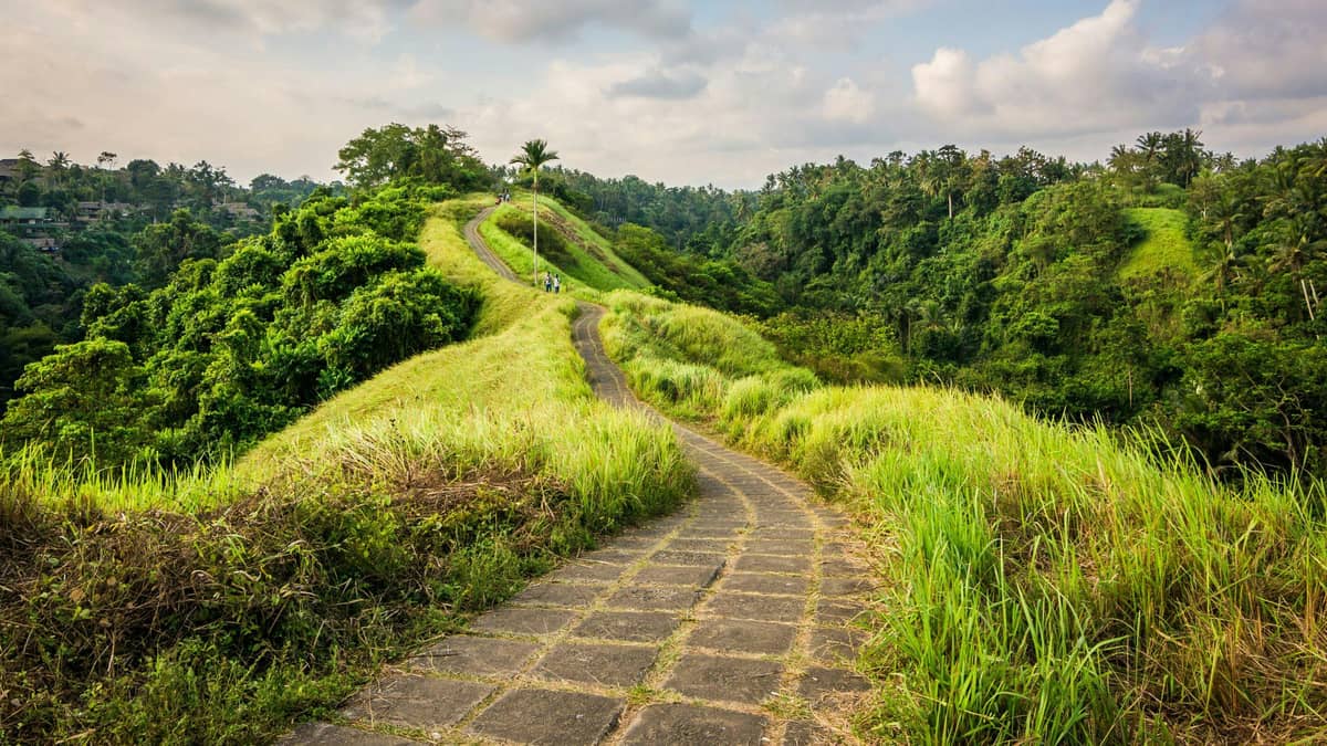 Campuhan Ridge Walk