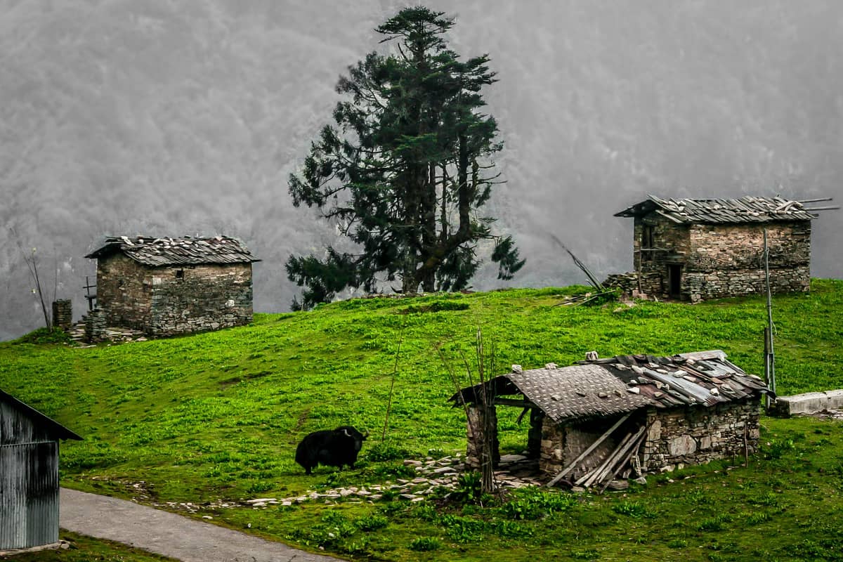 Best Arunachal Pradesh Tour Packages