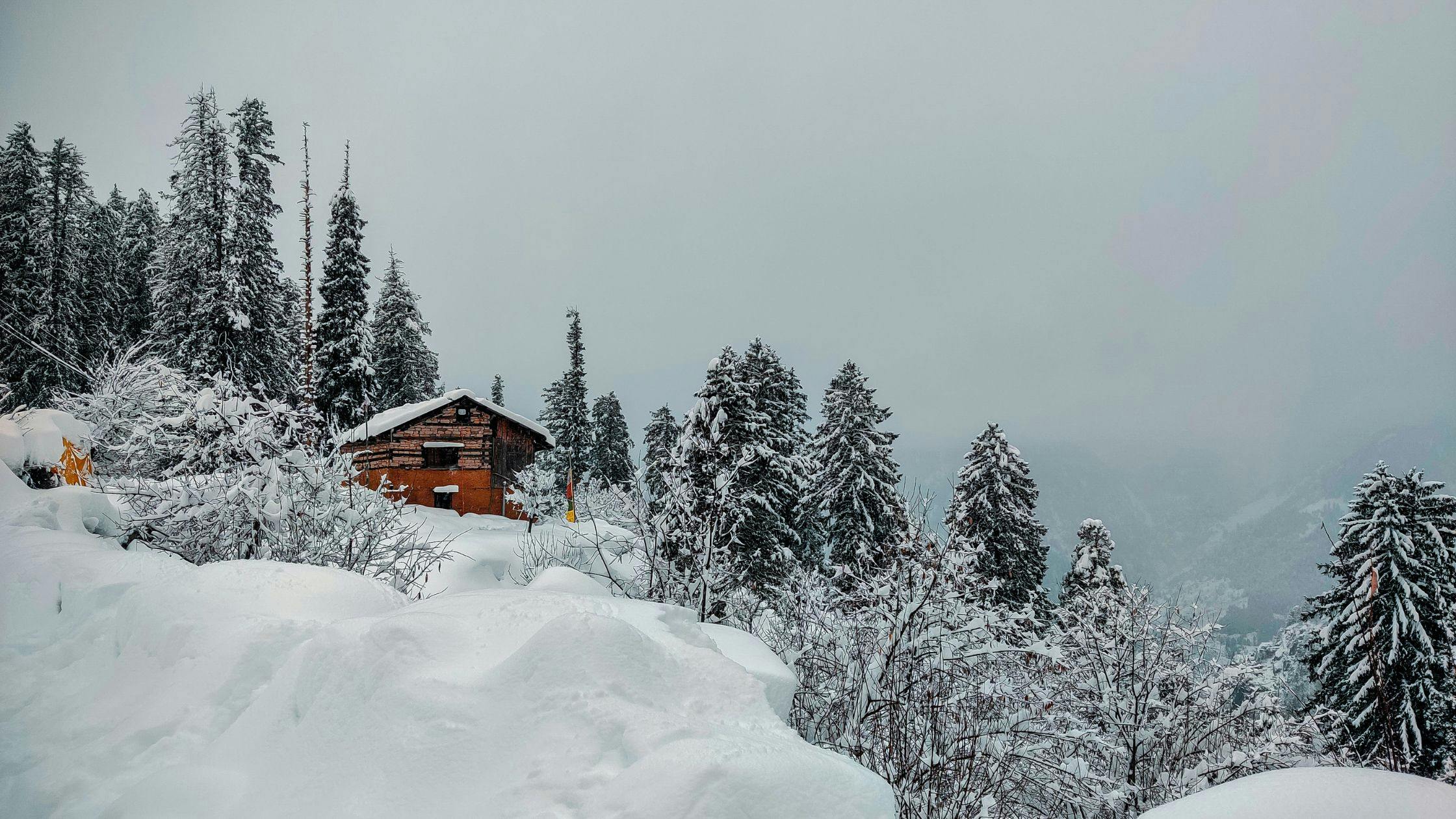 Manali Tour Packages