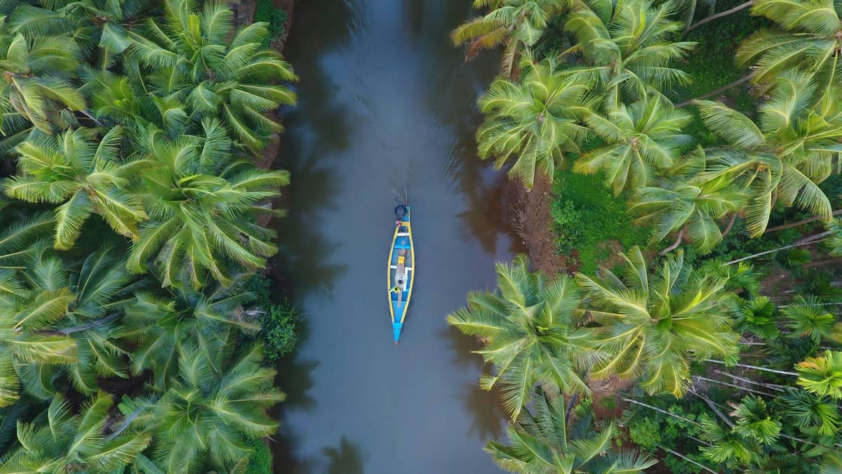 Kayaking in Alleppey Canals