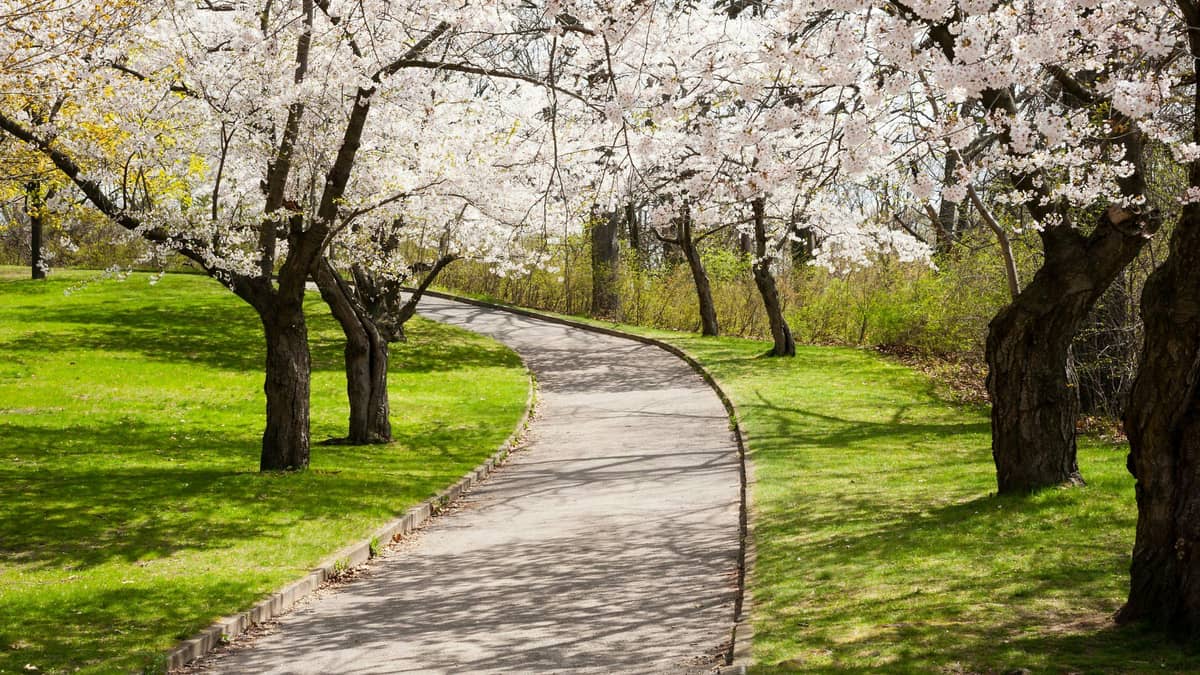 Spring in Canada (March to May)