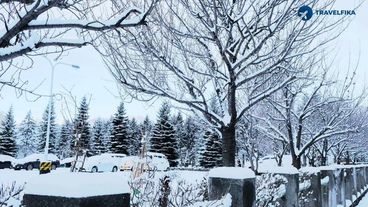 Sapporo – Snow Festival & Beer
