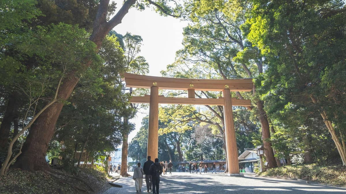 Meiji Shrine & Yoyogi Park
