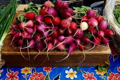 Farmer Market at Santa Fe