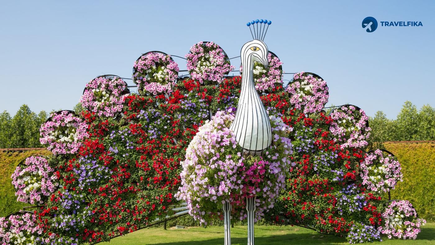 Dubai Miracle Flower Garden
