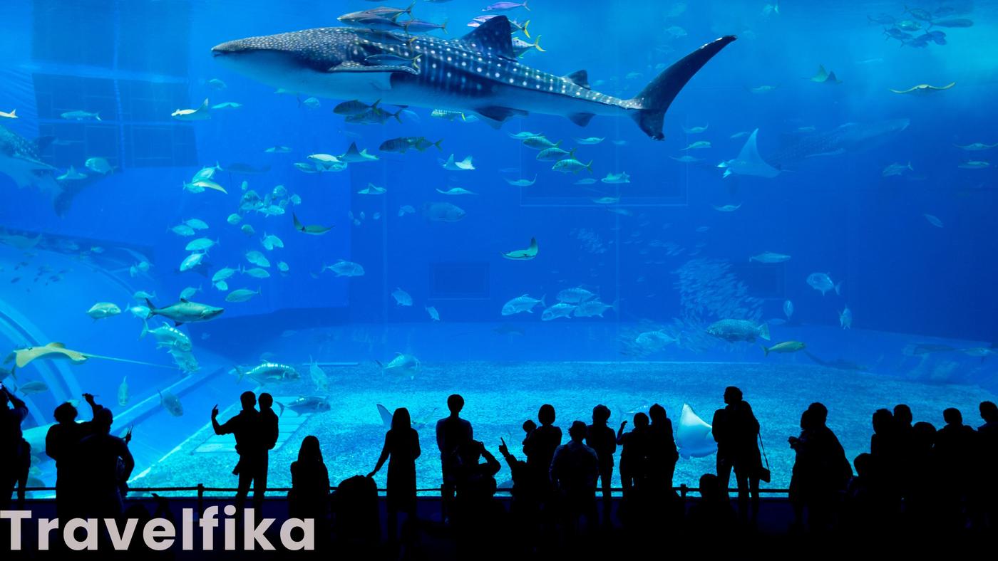 Chimelong Ocean Kingdom, Zhuhai, China