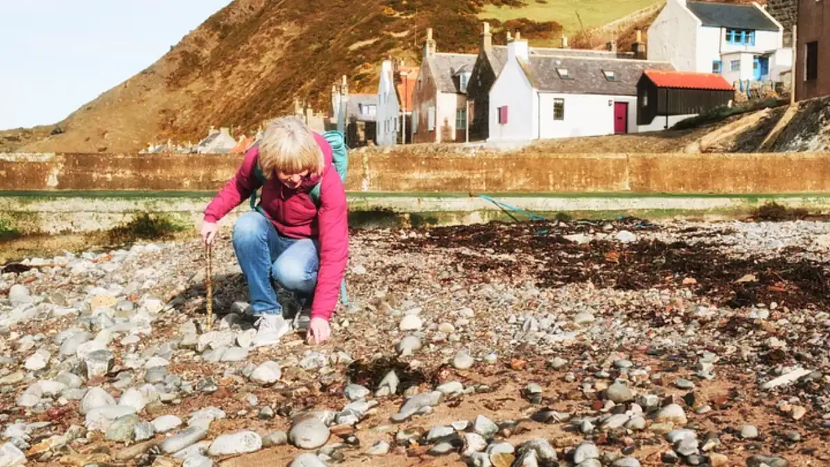 Beachcombing Adventures