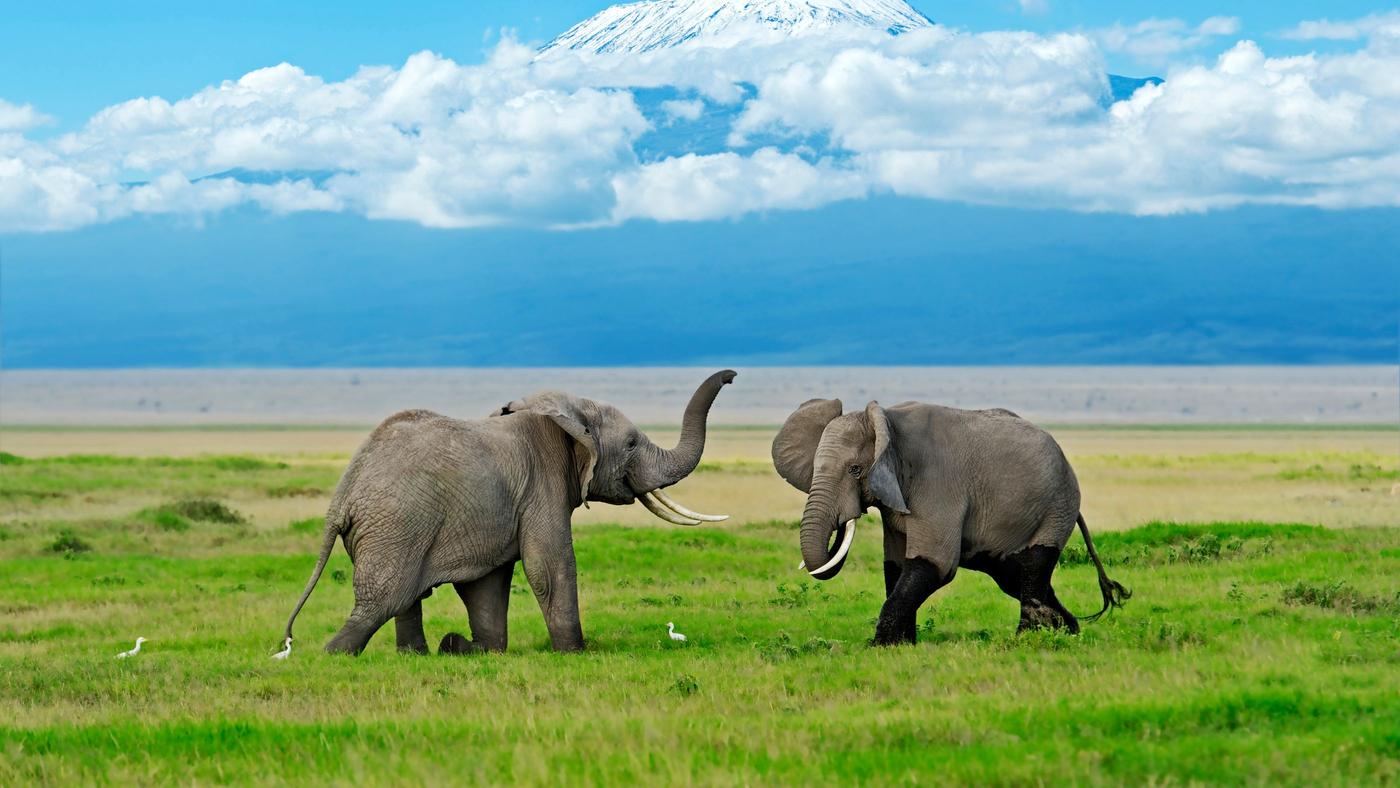 Rwanda, National Park