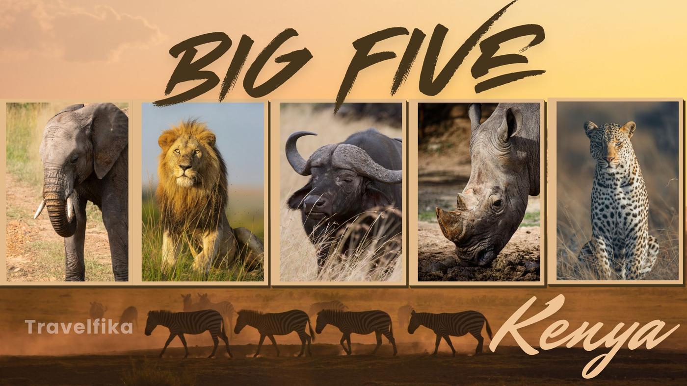 Big Five Kenya