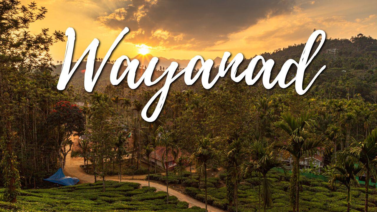 Wayanad - best honeymoon places in Kerala