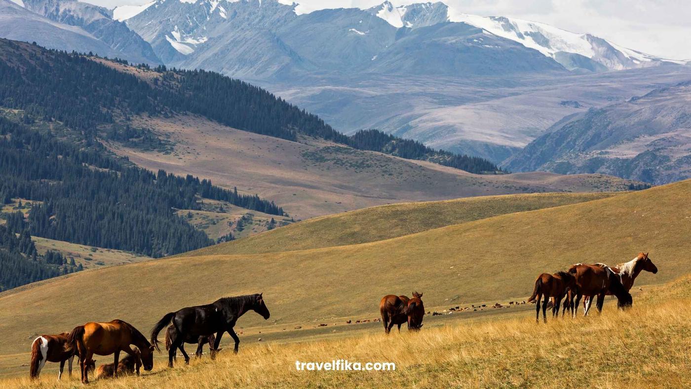 Kazakastan - Visa-Free Countries for Indian Passport Holders 