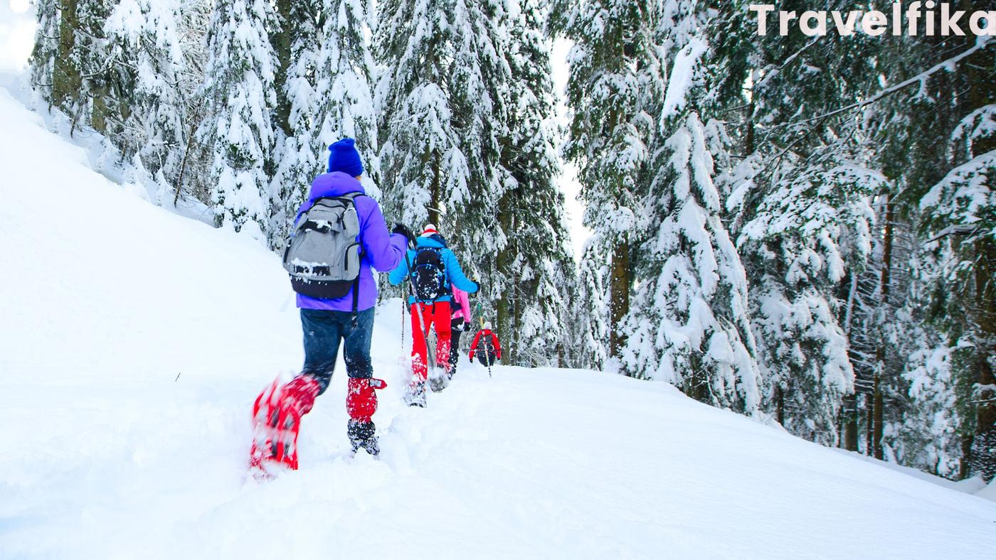 Snow Trekking