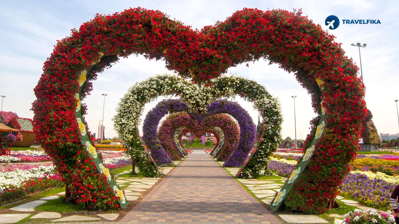 Dubai Miracle Garden Tickets