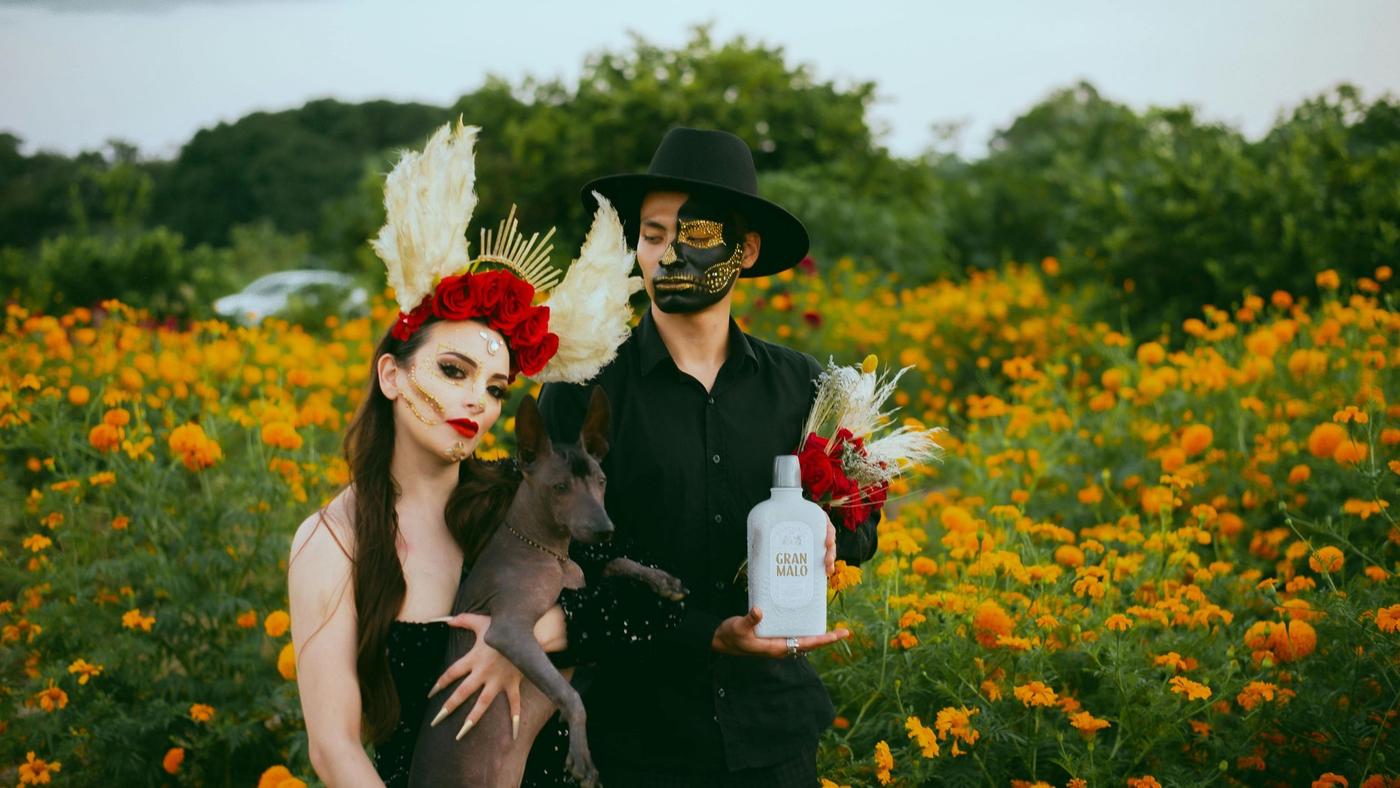 Couple & Group Costumes