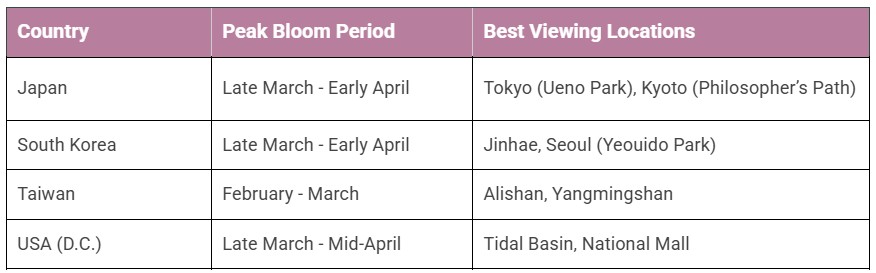 Best time to see Cherry Blossom
