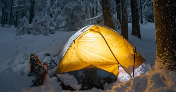 Montana’s National Parks Unveiled