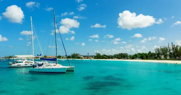Barbados Wildlife
