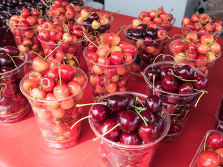 National Cherry Festival